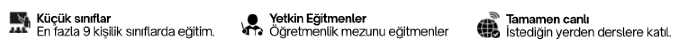 Küçük sınıflar, yetkin eğitmenler ve tamamen canlı dersler