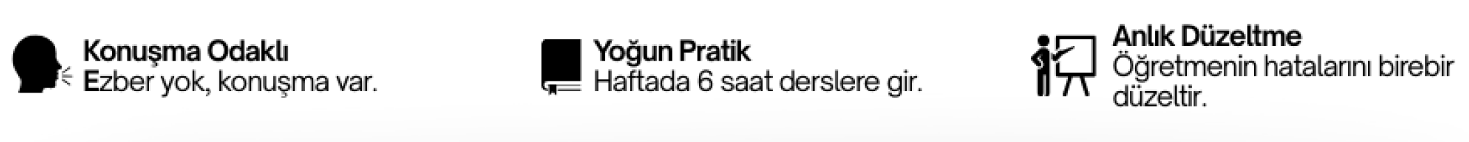 Konuşma odaklı yöntem, yoğun pratik ve anlık düzeltme